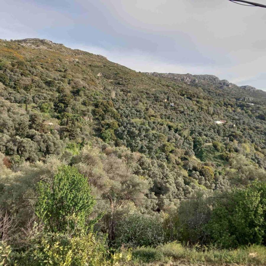 Villa Koomas - Kakodiki Paleochora Avdhouliana Bagian luar foto